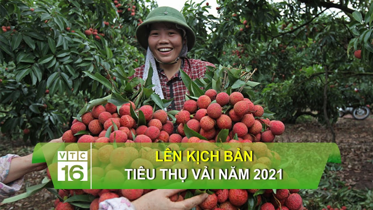 Top 5 ngành nghề dễ thất nghiệp trong vòng 2 - 3 năm tới