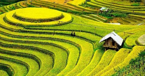 HLV đội vô địch Thái Lan chỉ đạo Bunmathan đối phó riêng Quang Hải